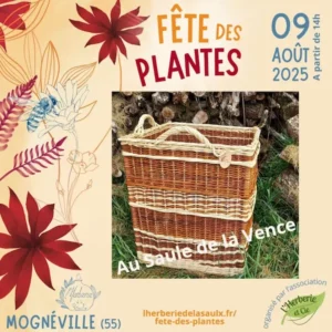 au saule de la vence