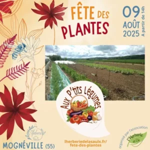 aux p'tits légumes