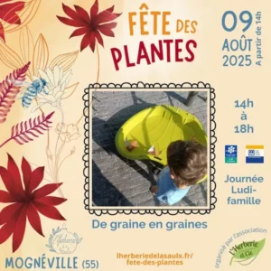 de graine en graine