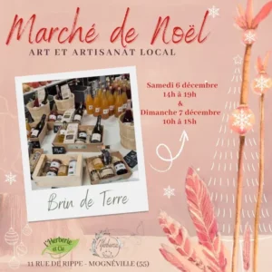 MDN2025-brin de Terre