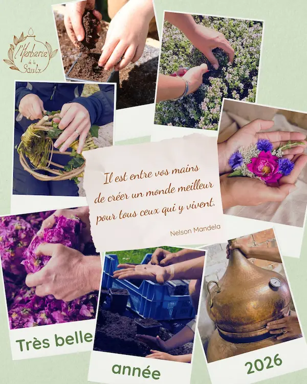 Voeux 2026 herberie