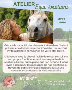 journeebienetre-equiemotions