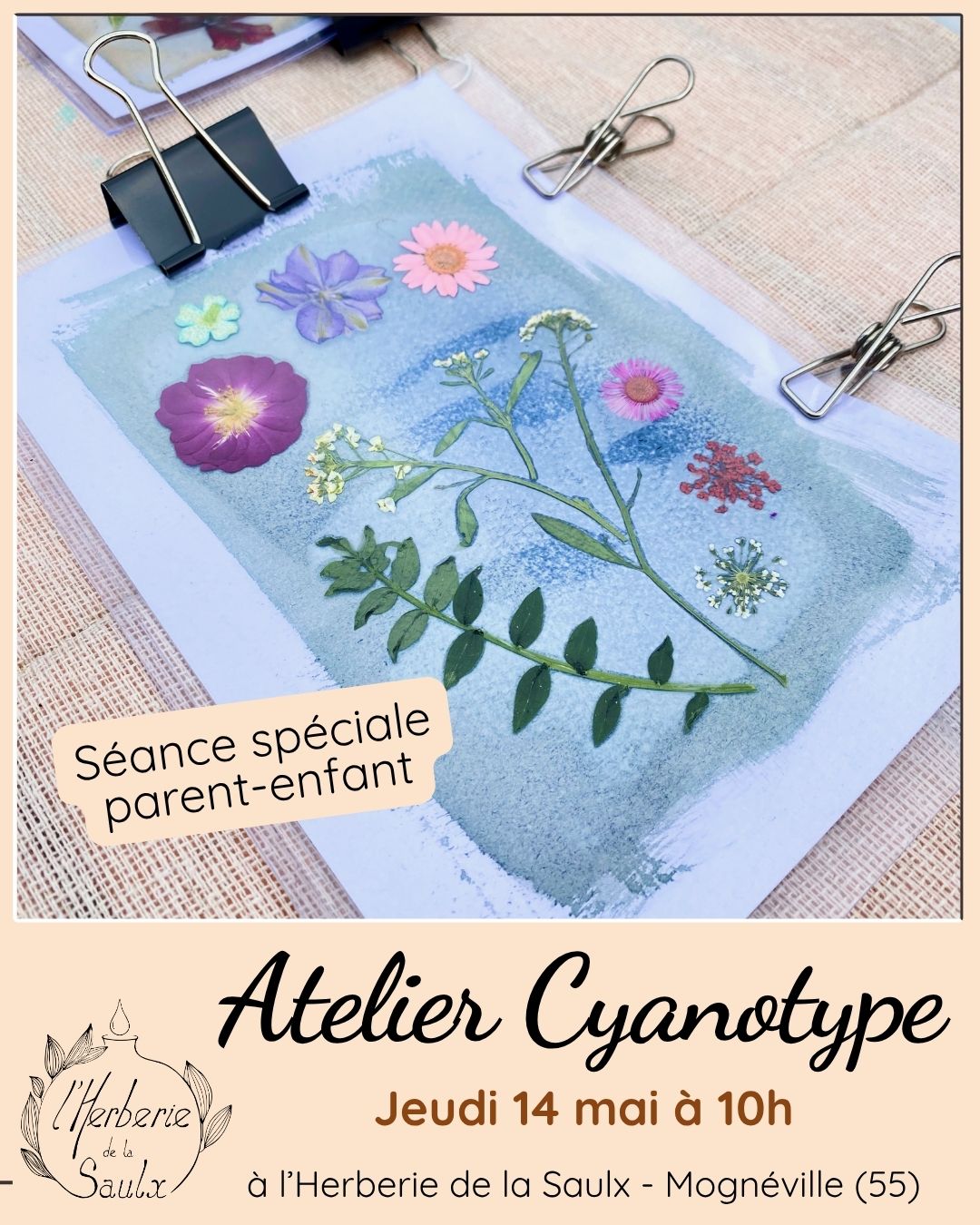 atelier cyanotype à l'Herberie de la Saulx