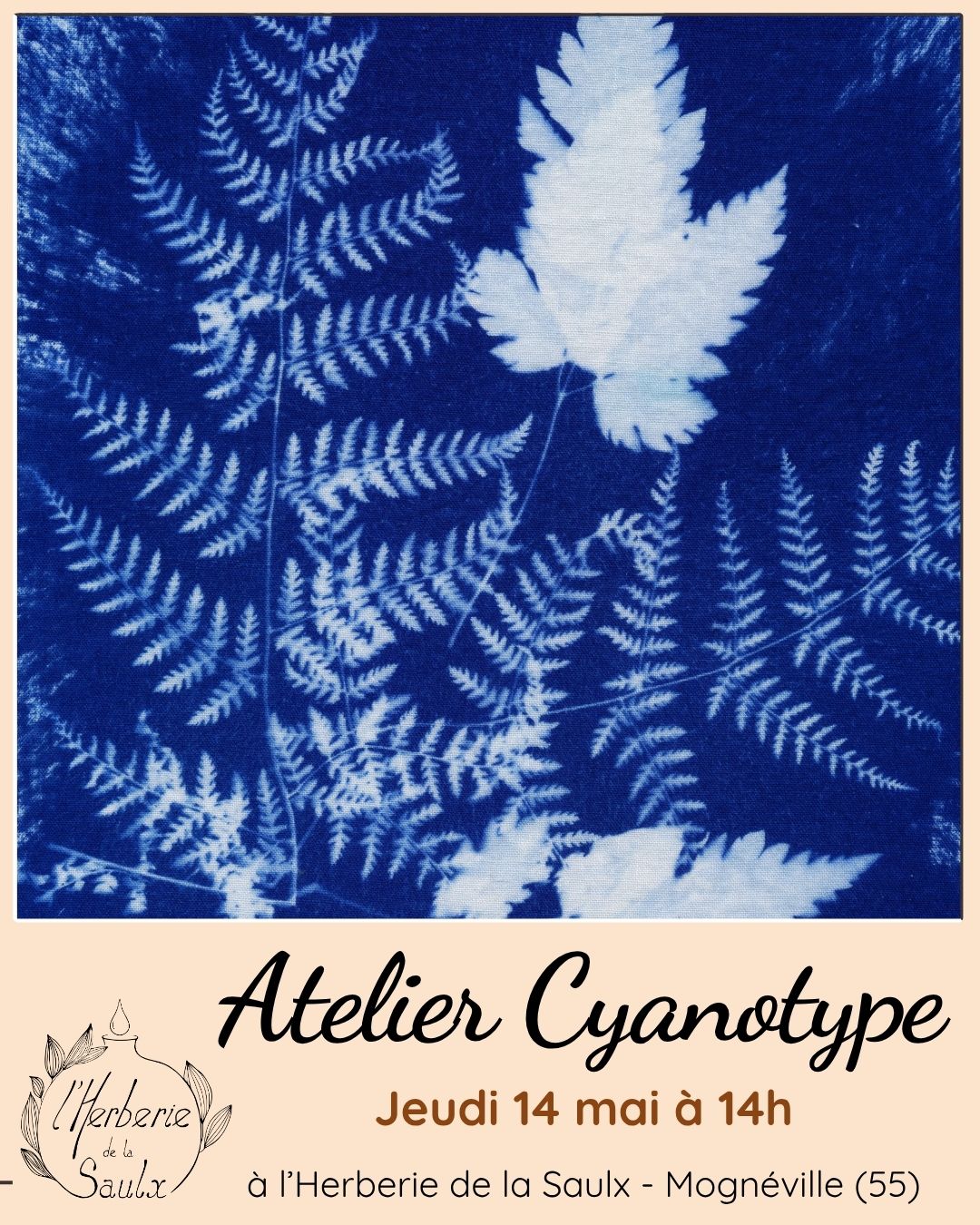 atelier cyanotype à l'Herberie de la Saulx