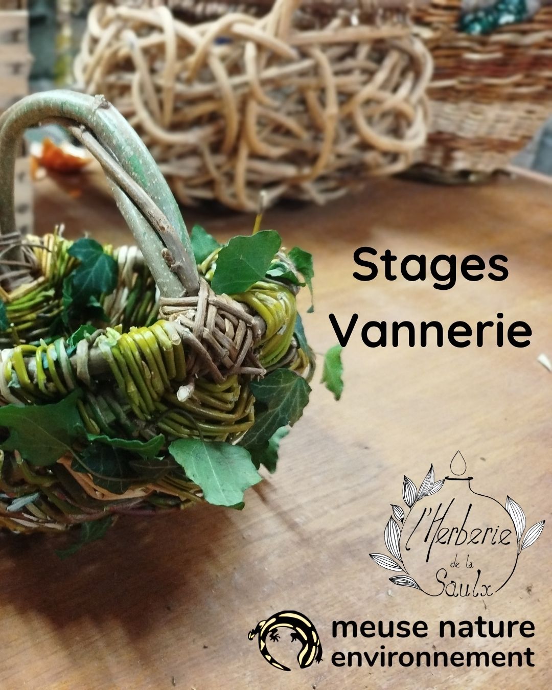 stages vannerie sauvage à l'herberie de la saulx