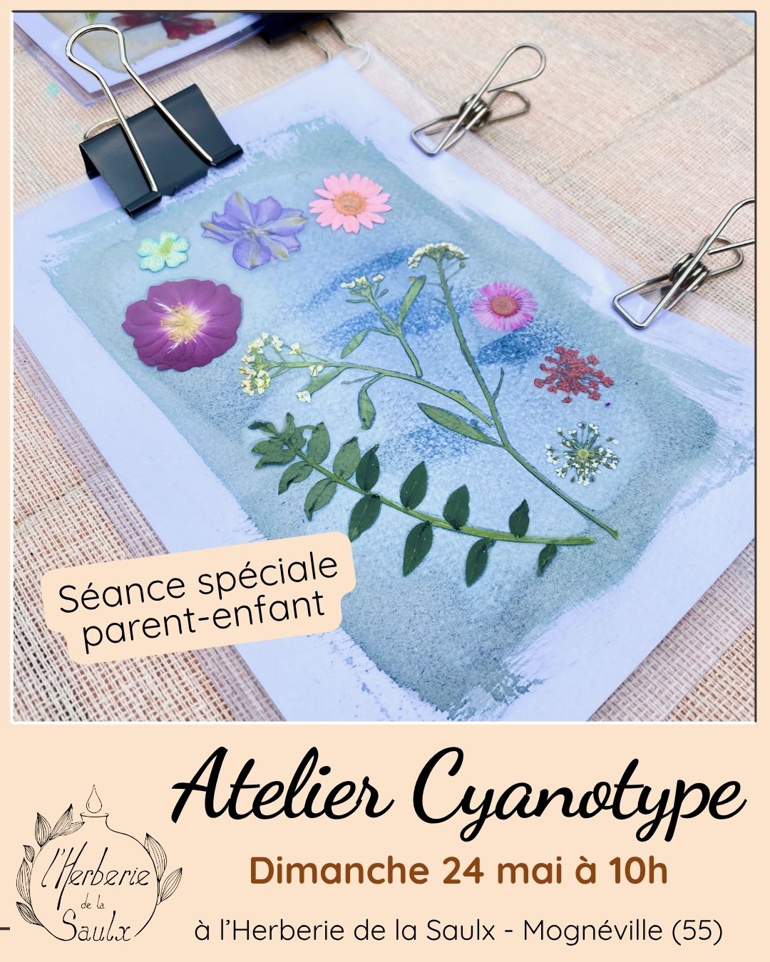 atelier cyanotype à l'Herberie de la Saulx